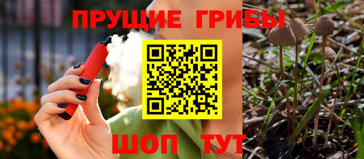 Псилоцибиновые грибы Psilocybe  Вход с VPN  Салехард 